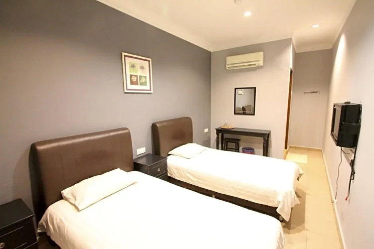 Deluxe Twin room with view