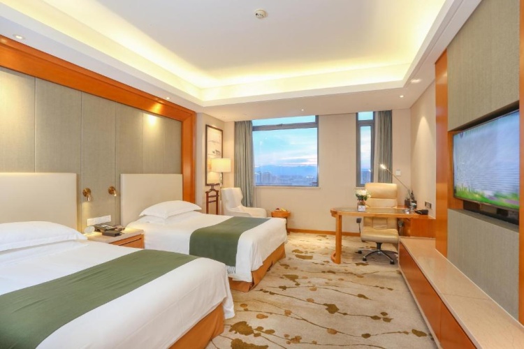 Business Twin room with city view