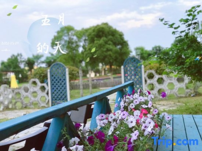 Outside