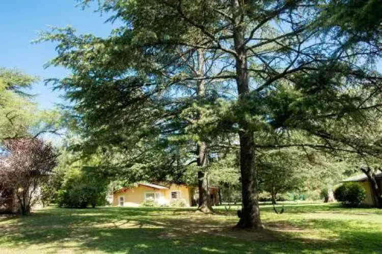 Cabañas del Arroyo
