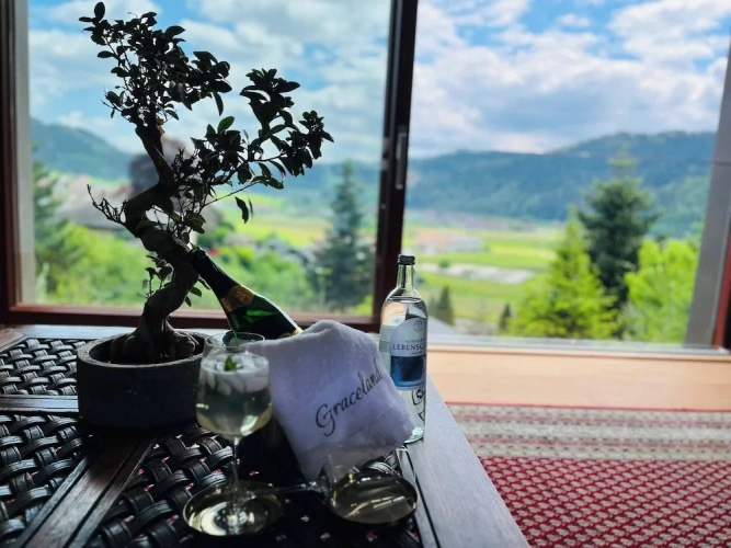 1 Bedroom Apartment with garden view