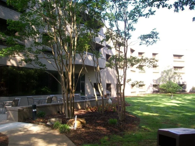 Outside