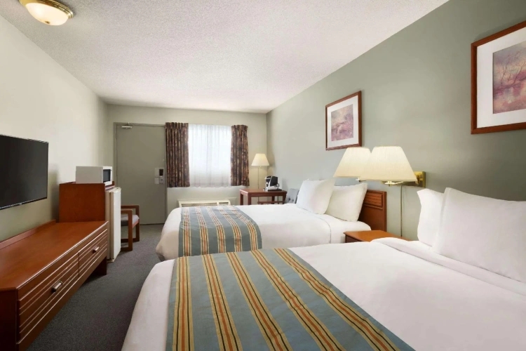 1 Bedroom Quadruple Suite