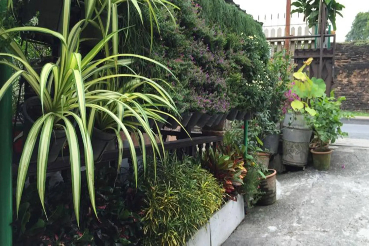 Siriwan Guesthouse