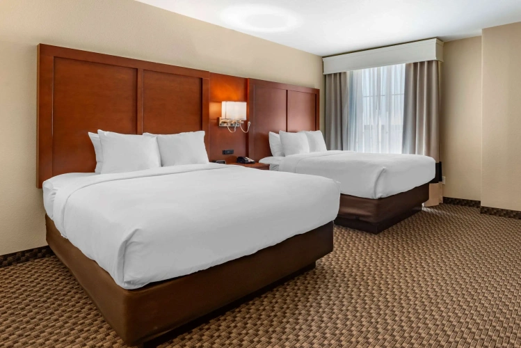 Quadruple Suite
