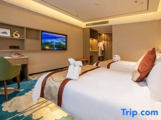 Standard Double room with city view