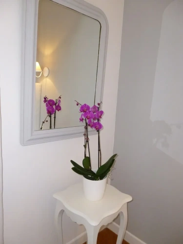 Superior Double room with garden view