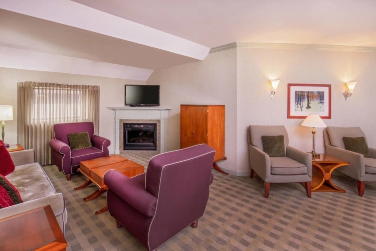 Presidential Double Suite with city view