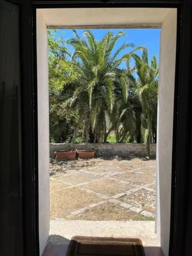 Standard Double room with view