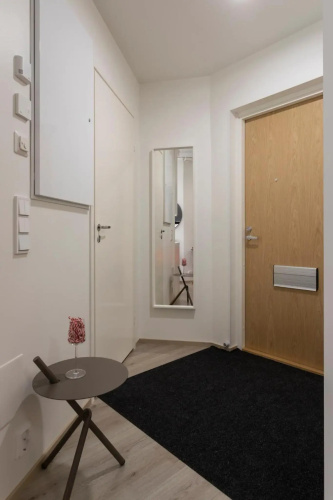 Tuomas´luxurious suites, Koivu