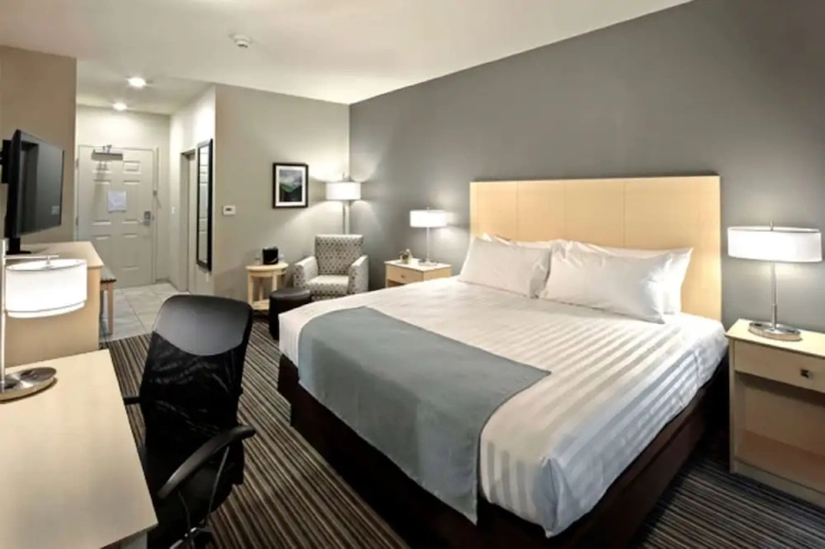 1 Bedroom Standard Double room
