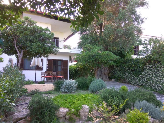 1 Bedroom Apartment with garden view