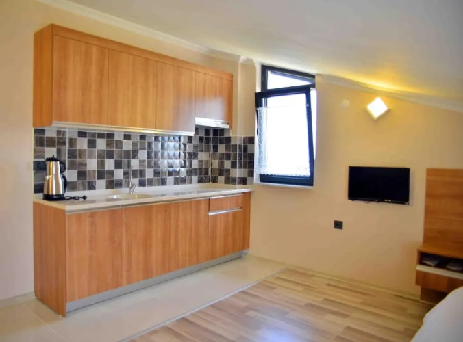 Basement Apartment with view