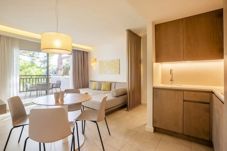 1 Bedroom Premium Apartment with balcony