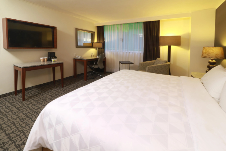 Holiday Inn Ciudad De Mexico-Trade Center by IHG