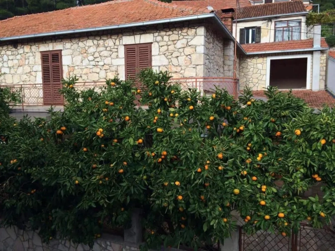 Twin Cottage