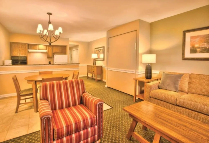 1 Bedroom Suite