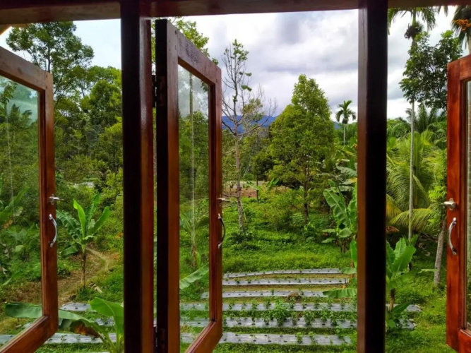 Sumatra Orangutan Discovery Villa