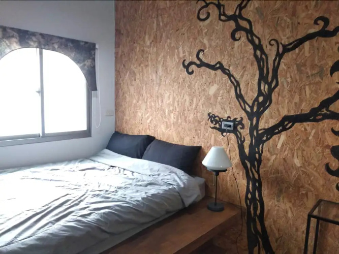 Shadow House