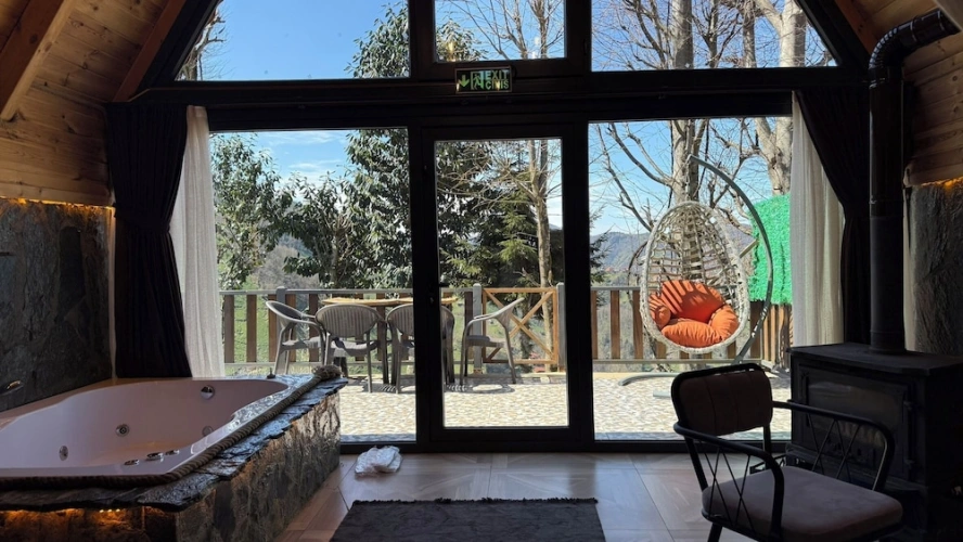 Business Double room with mountain view