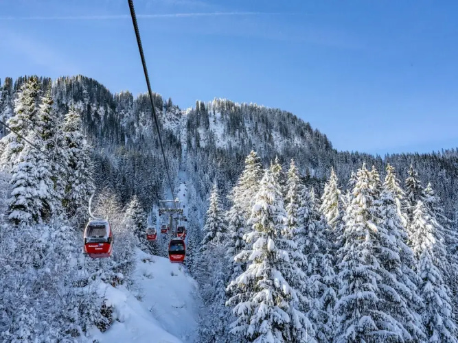 Mount-apartment Directly on Ski-slopes