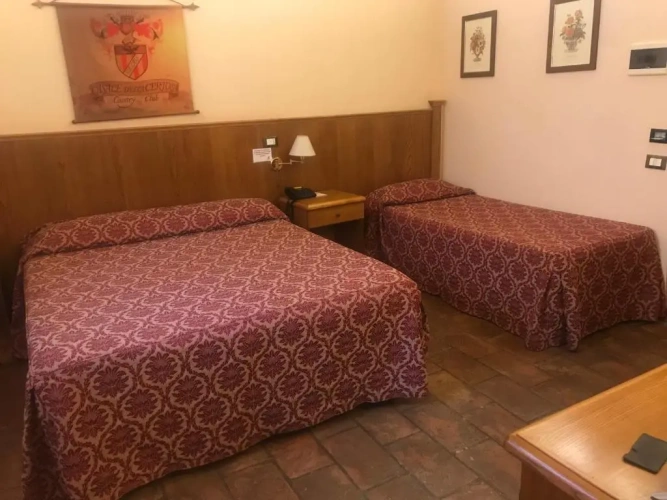 Standard Triple room