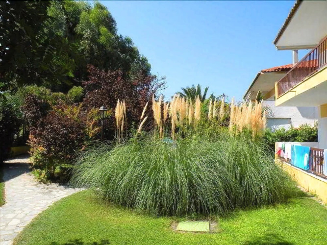Ioli Apartments
