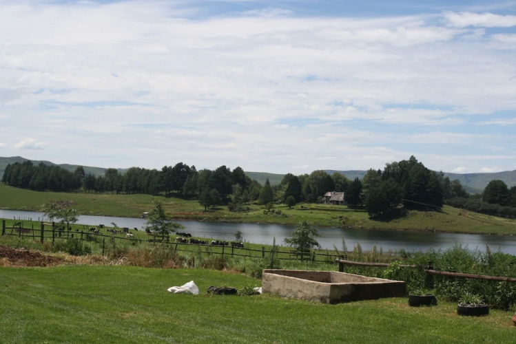 Trout Lodge