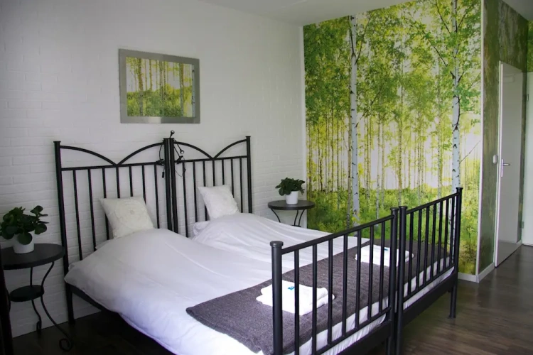Classic Twin room