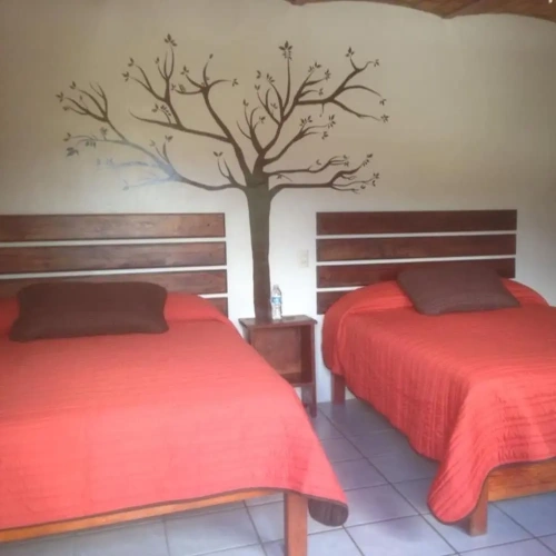 Standard Double room with mountain view