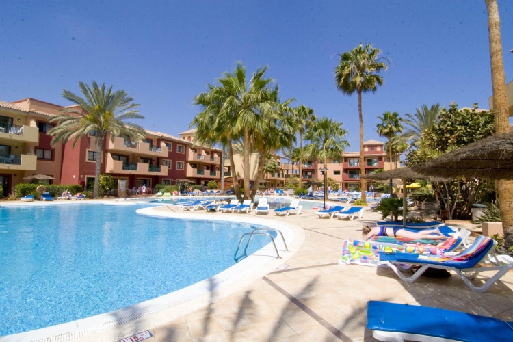 O7 Aloe Corralejo photo 41