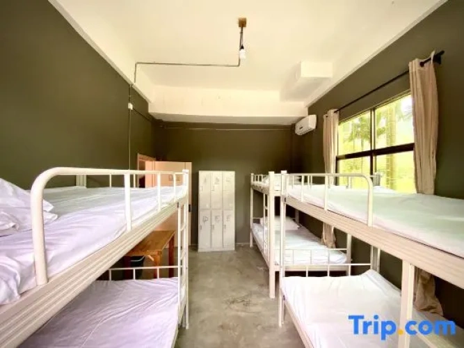 Bed in Dorm (male dorm)