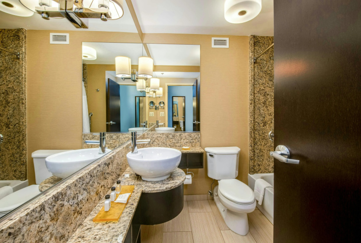 Crowne Plaza Chicago Ohare Hotel And Conference Center photo 10