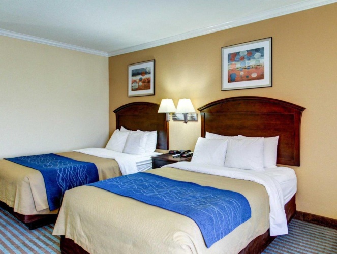 Standard Quadruple room