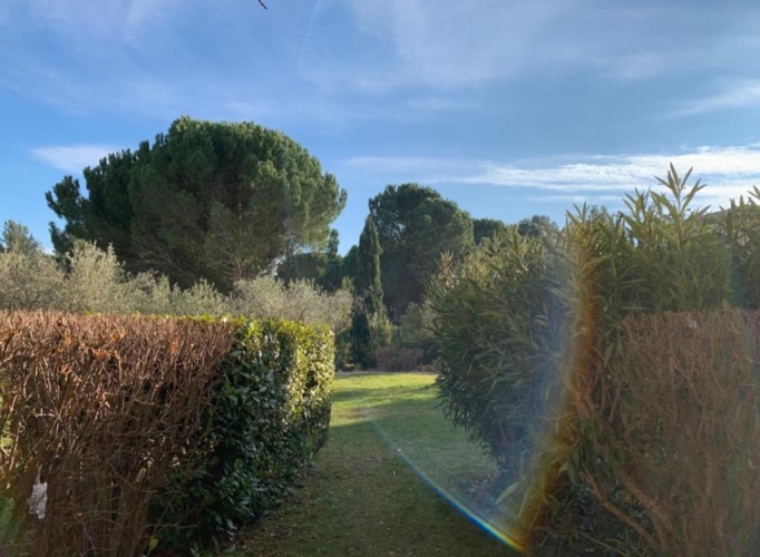 Outside