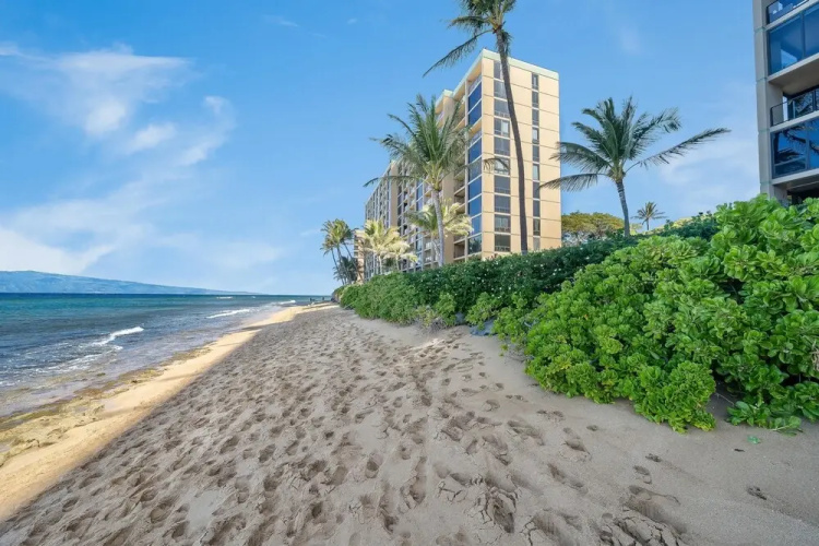 Mahana 1202