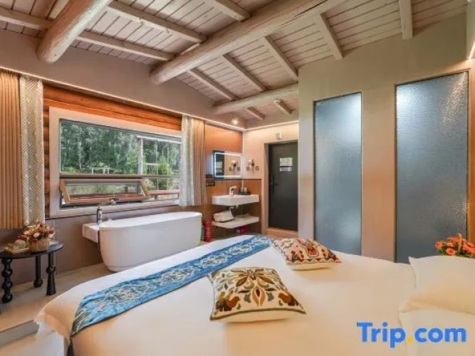 Standard Double room with view