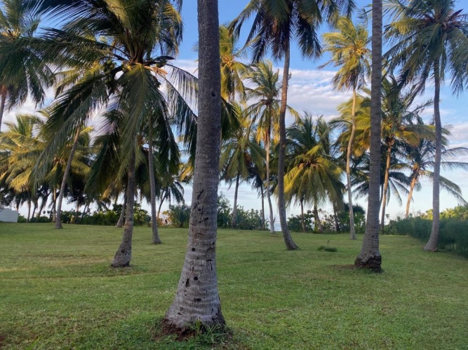 Outside