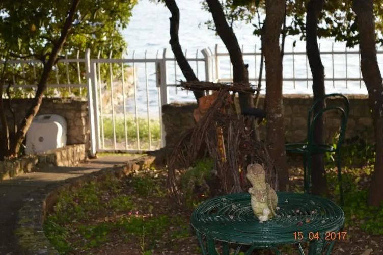 1 Bedroom Apartment with garden view