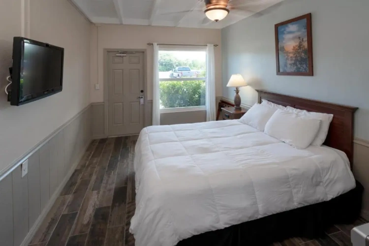 Standard Quadruple room with view