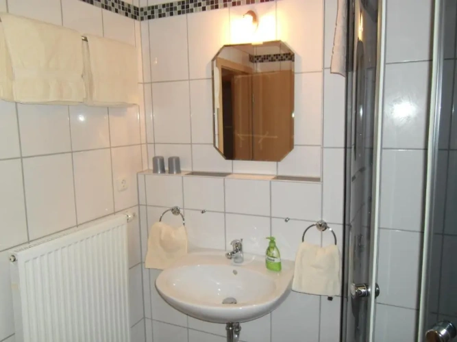 Standard Double room with mountain view
