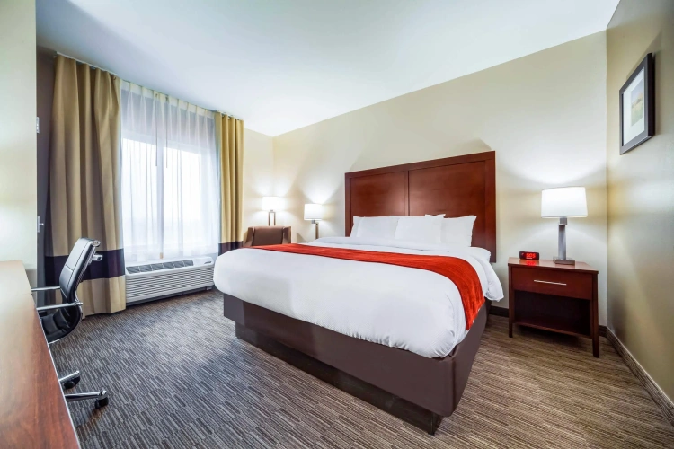 Standard Double room