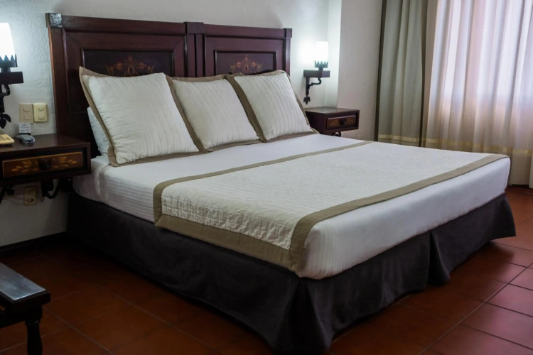 Hotel Fenix