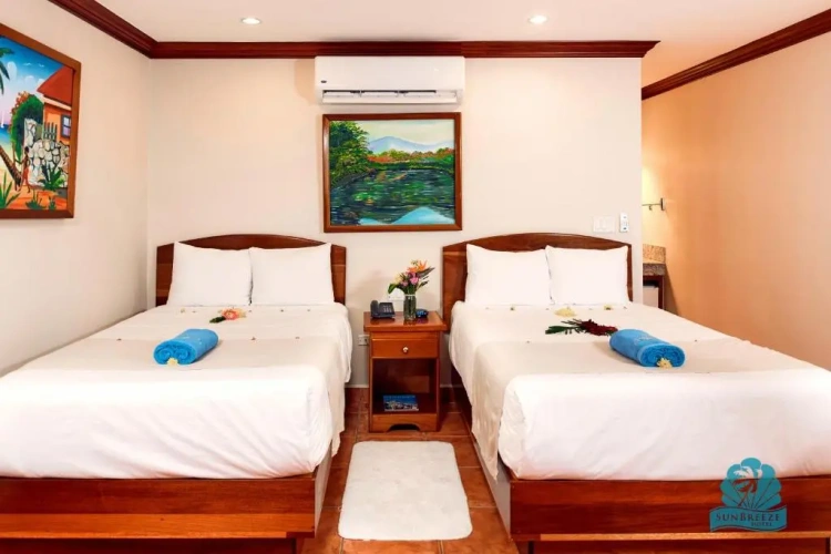 Deluxe Double room