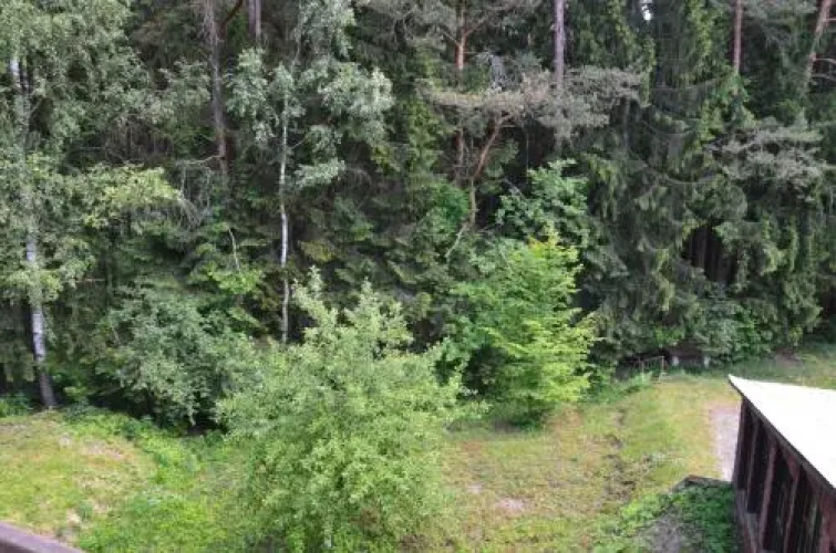 Zajazd Leśny