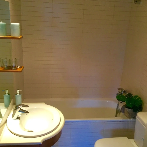 1 Bedroom Apartment