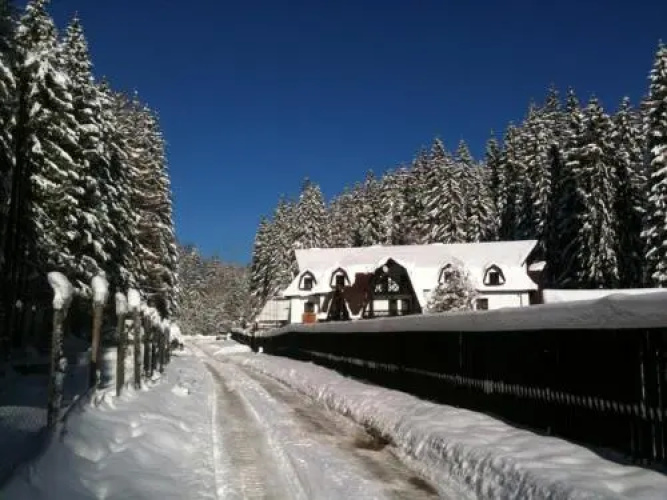 Cabana Harțagu