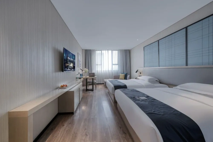 Luxury Twin room