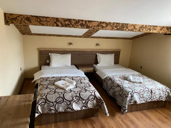 Economy Twin room with balcony and with view
