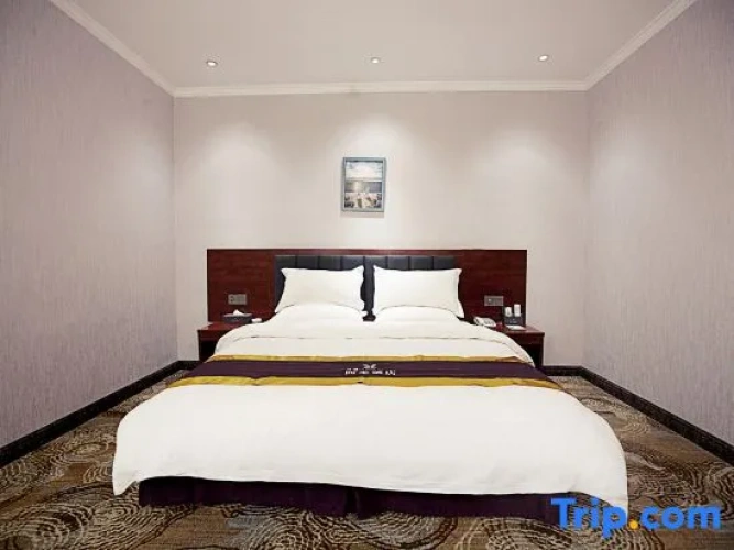 Single Suite